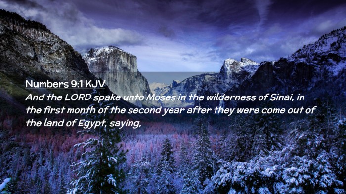 Picture 02 - Numbers 9:1 KJV Desktop Wallpaper - And the LORD spake unto Moses in the wilderness - Desktop Bible Verse Wallpaper