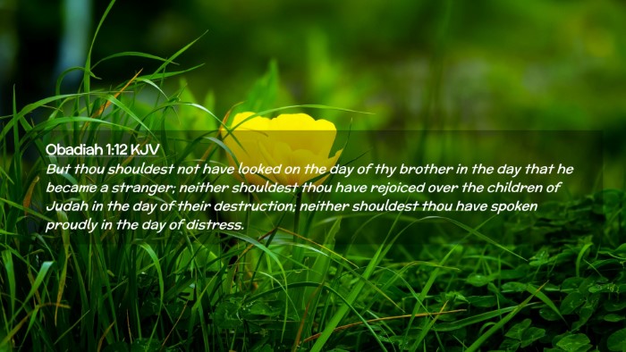 Picture 02 - Obadiah 1:12 KJV Desktop Wallpaper - But thou shouldest not have looked on the day of - Desktop Bible Verse Wallpaper