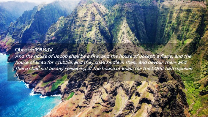 Picture 02 - Obadiah 1:18 KJV Desktop Wallpaper - And the house of Jacob shall be a fire, and the - Desktop Bible Verse Wallpaper