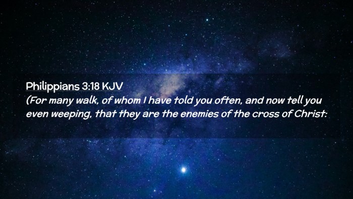 Picture 02 - Philippians 3:18 KJV Desktop Wallpaper - (For many walk, of whom I have told you often, - Desktop Bible Verse Wallpaper