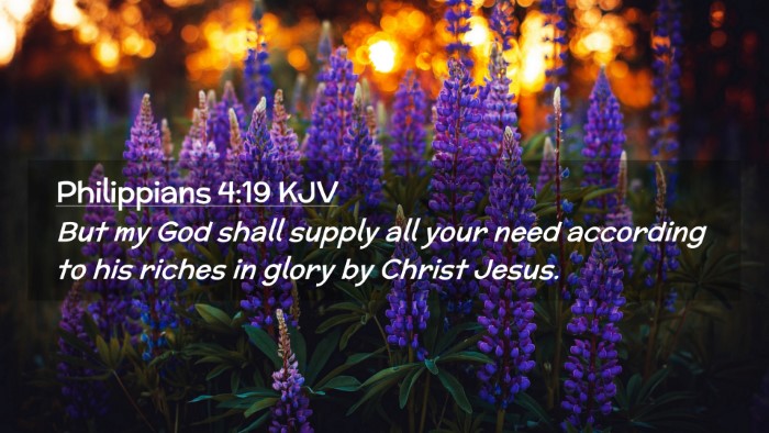 Picture 02 - Philippians 4:19 KJV Desktop Wallpaper - But my God shall supply all your need according - Desktop Bible Verse Wallpaper