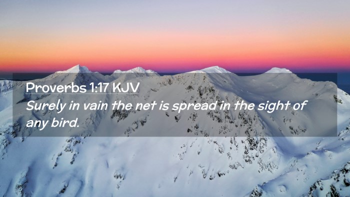Picture 02 - Proverbs 1:17 KJV Desktop Wallpaper - Surely in vain the net is spread in the sight of - Desktop Bible Verse Wallpaper