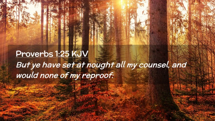 Picture 02 - Proverbs 1:25 KJV Desktop Wallpaper - But ye have set at nought all my counsel, and - Desktop Bible Verse Wallpaper