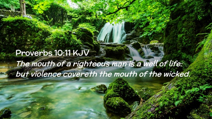 Picture 02 - Proverbs 10:11 KJV Desktop Wallpaper - The mouth of a righteous man is a well of life: - Desktop Bible Verse Wallpaper