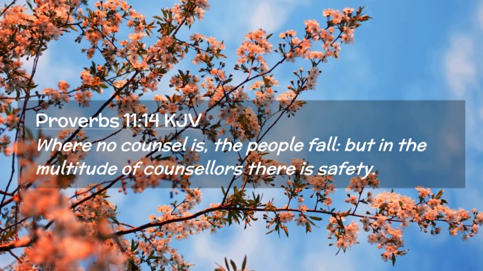 Picture 02 - Proverbs 11:14 KJV Desktop Wallpaper - Where no counsel is, the people fall: but in the - Desktop Bible Verse Wallpaper