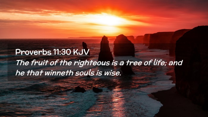 Picture 02 - Proverbs 11:30 KJV Desktop Wallpaper - The fruit of the righteous is a tree of life; and - Desktop Bible Verse Wallpaper