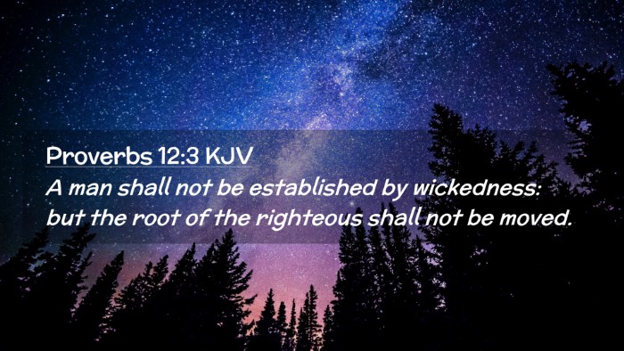 Picture 02 - Proverbs 12:3 KJV Desktop Wallpaper - A man shall not be established by wickedness: but - Desktop Bible Verse Wallpaper
