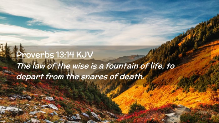 Picture 02 - Proverbs 13:14 KJV Desktop Wallpaper - The law of the wise is a fountain of life, to - Desktop Bible Verse Wallpaper