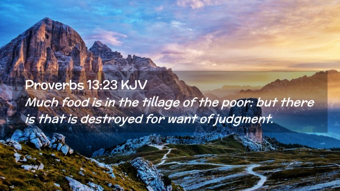 Picture 02 - Proverbs 13:23 KJV Desktop Wallpaper - Much food is in the tillage of the poor: but - Desktop Bible Verse Wallpaper