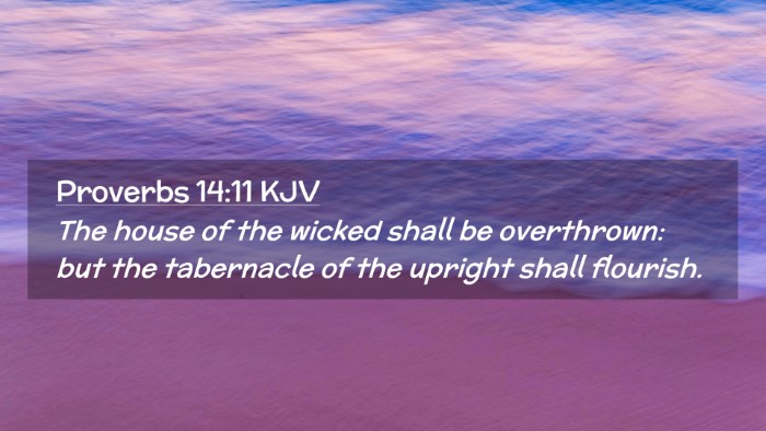 Picture 02 - Proverbs 14:11 KJV Desktop Wallpaper - The house of the wicked shall be overthrown: but - Desktop Bible Verse Wallpaper