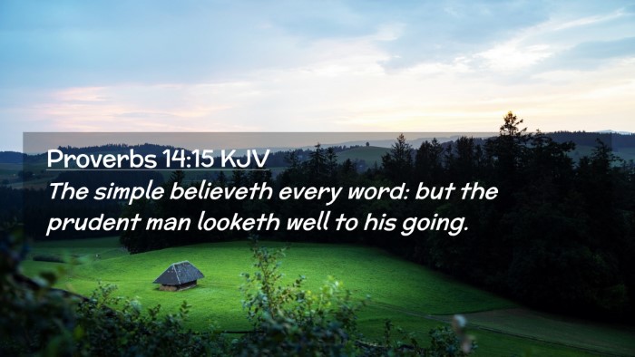 Picture 02 - Proverbs 14:15 KJV Desktop Wallpaper - The simple believeth every word: but the prudent - Desktop Bible Verse Wallpaper