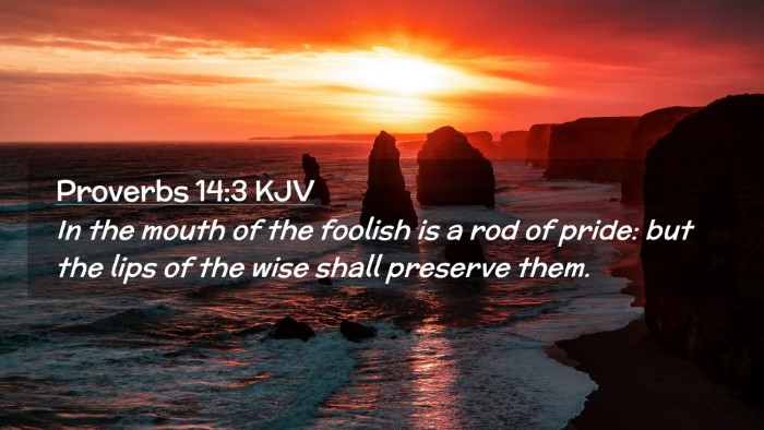 Picture 02 - Proverbs 14:3 KJV Desktop Wallpaper - In the mouth of the foolish is a rod of pride: - Desktop Bible Verse Wallpaper