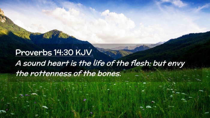 Picture 02 - Proverbs 14:30 KJV Desktop Wallpaper - A sound heart is the life of the flesh: but envy - Desktop Bible Verse Wallpaper
