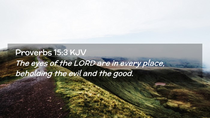 Picture 02 - Proverbs 15:3 KJV Desktop Wallpaper - The eyes of the LORD are in every place, - Desktop Bible Verse Wallpaper