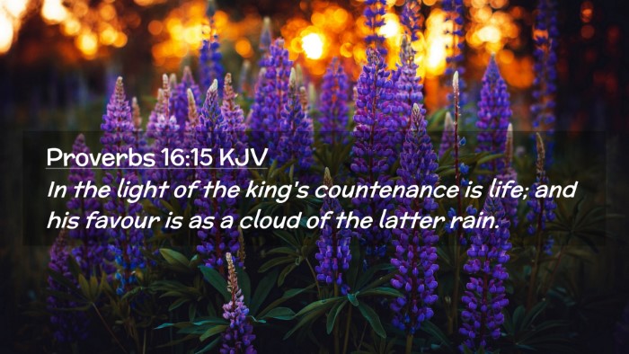 Picture 02 - Proverbs 16:15 KJV Desktop Wallpaper - In the light of the king's countenance is life; - Desktop Bible Verse Wallpaper