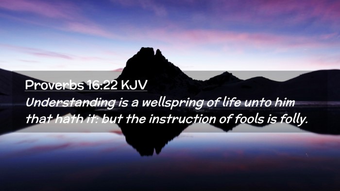Picture 02 - Proverbs 16:22 KJV Desktop Wallpaper - Understanding is a wellspring of life unto him - Desktop Bible Verse Wallpaper