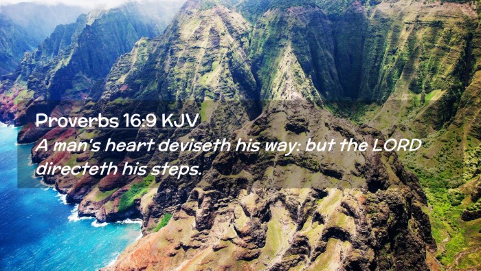 Picture 02 - Proverbs 16:9 KJV Desktop Wallpaper - A man's heart deviseth his way: but the LORD - Desktop Bible Verse Wallpaper