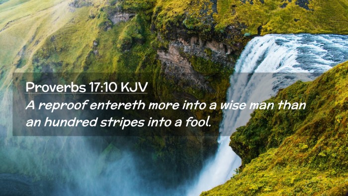 Picture 02 - Proverbs 17:10 KJV Desktop Wallpaper - A reproof entereth more into a wise man than an - Desktop Bible Verse Wallpaper