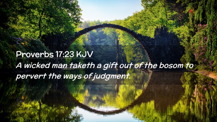 Picture 02 - Proverbs 17:23 KJV Desktop Wallpaper - A wicked man taketh a gift out of the bosom to - Desktop Bible Verse Wallpaper