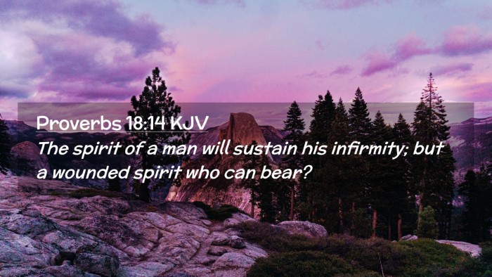 Picture 02 - Proverbs 18:14 KJV Desktop Wallpaper - The spirit of a man will sustain his infirmity; - Desktop Bible Verse Wallpaper