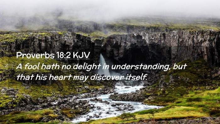Picture 02 - Proverbs 18:2 KJV Desktop Wallpaper - A fool hath no delight in understanding, but that - Desktop Bible Verse Wallpaper