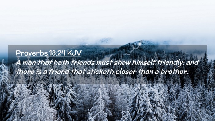 Picture 02 - Proverbs 18:24 KJV Desktop Wallpaper - A man that hath friends must shew himself - Desktop Bible Verse Wallpaper