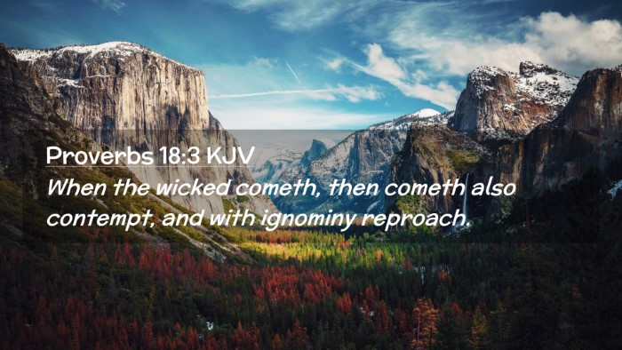 Picture 02 - Proverbs 18:3 KJV Desktop Wallpaper - When the wicked cometh, then cometh also - Desktop Bible Verse Wallpaper