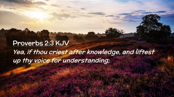 Picture 02 - Proverbs 2:3 KJV Desktop Wallpaper - Yea, if thou criest after knowledge, and liftest - Desktop Bible Verse Wallpaper