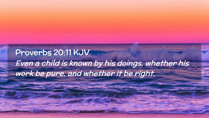 Picture 02 - Proverbs 20:11 KJV Desktop Wallpaper - Even a child is known by his doings, whether his - Desktop Bible Verse Wallpaper