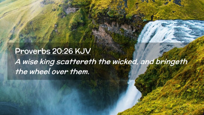 Picture 02 - Proverbs 20:26 KJV Desktop Wallpaper - A wise king scattereth the wicked, and bringeth - Desktop Bible Verse Wallpaper