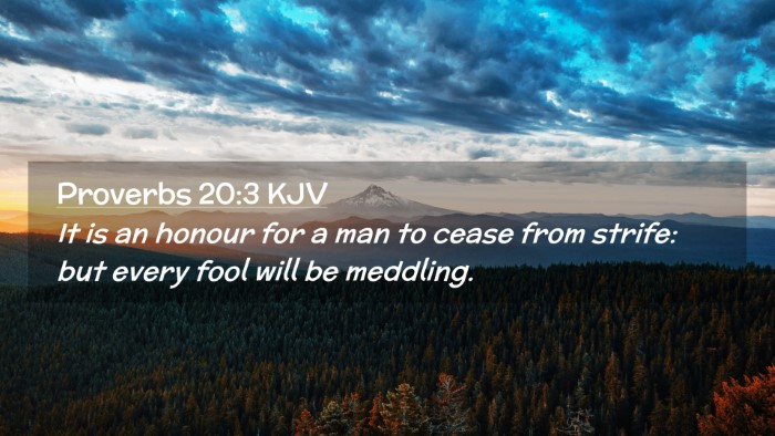 Picture 02 - Proverbs 20:3 KJV Desktop Wallpaper - It is an honour for a man to cease from strife: - Desktop Bible Verse Wallpaper