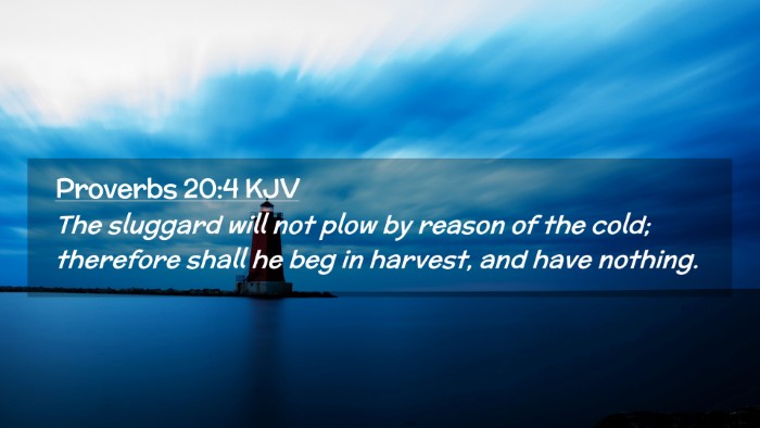 Picture 02 - Proverbs 20:4 KJV Desktop Wallpaper - The sluggard will not plow by reason of the cold; - Desktop Bible Verse Wallpaper