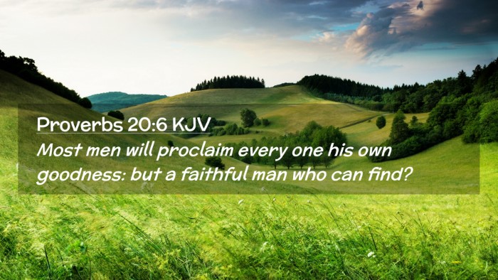 Picture 02 - Proverbs 20:6 KJV Desktop Wallpaper - Most men will proclaim every one his own - Desktop Bible Verse Wallpaper