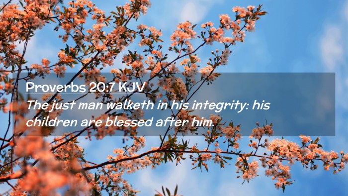Picture 02 - Proverbs 20:7 KJV Desktop Wallpaper - The just man walketh in his integrity: his - Desktop Bible Verse Wallpaper