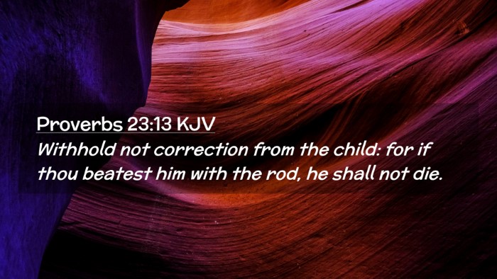 Picture 02 - Proverbs 23:13 KJV Desktop Wallpaper - Withhold not correction from the child: for if - Desktop Bible Verse Wallpaper
