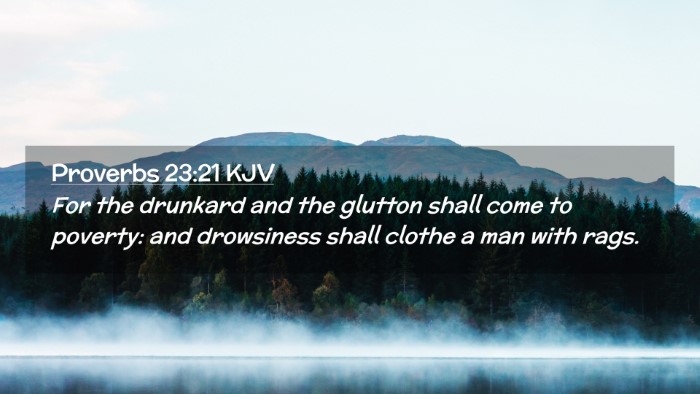 Picture 02 - Proverbs 23:21 KJV Desktop Wallpaper - For the drunkard and the glutton shall come to - Desktop Bible Verse Wallpaper