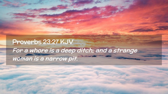 Picture 02 - Proverbs 23:27 KJV Desktop Wallpaper - For a whore is a deep ditch; and a strange woman - Desktop Bible Verse Wallpaper
