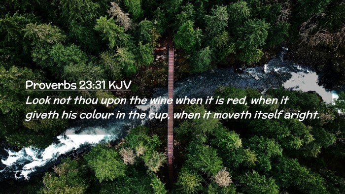Picture 02 - Proverbs 23:31 KJV Desktop Wallpaper - Look not thou upon the wine when it is red, when - Desktop Bible Verse Wallpaper