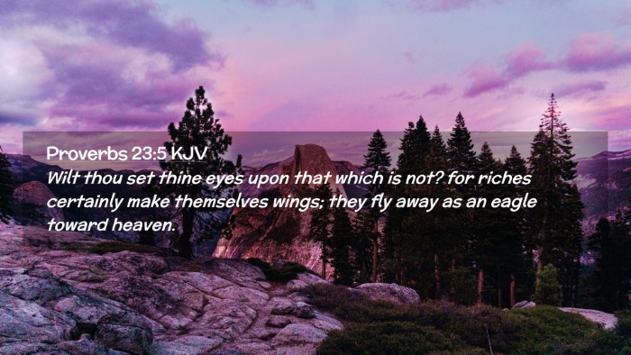 Picture 02 - Proverbs 23:5 KJV Desktop Wallpaper - Wilt thou set thine eyes upon that which is not? - Desktop Bible Verse Wallpaper