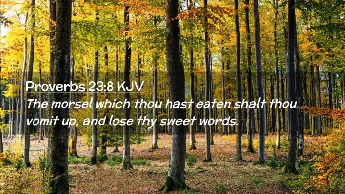 Picture 02 - Proverbs 23:8 KJV Desktop Wallpaper - The morsel which thou hast eaten shalt thou vomit - Desktop Bible Verse Wallpaper