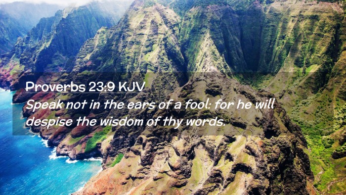 Picture 02 - Proverbs 23:9 KJV Desktop Wallpaper - Speak not in the ears of a fool: for he will - Desktop Bible Verse Wallpaper