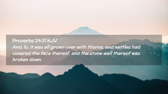 Picture 02 - Proverbs 24:31 KJV Desktop Wallpaper - And, lo, it was all grown over with thorns, and - Desktop Bible Verse Wallpaper