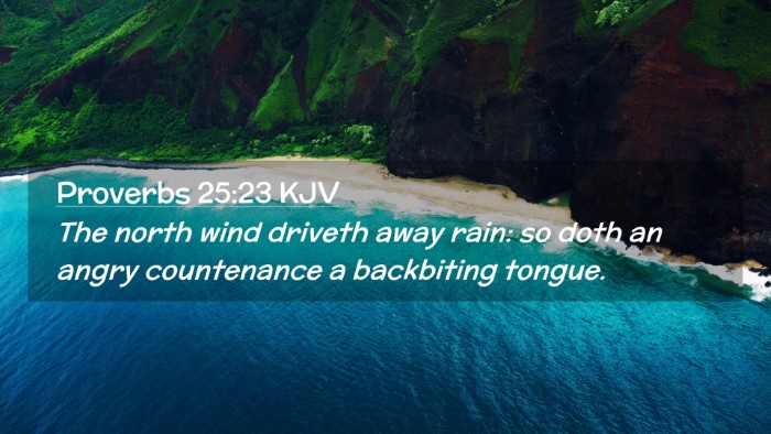 Picture 02 - Proverbs 25:23 KJV Desktop Wallpaper - The north wind driveth away rain: so doth an - Desktop Bible Verse Wallpaper