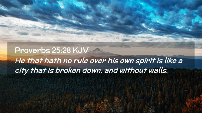 Picture 02 - Proverbs 25:28 KJV Desktop Wallpaper - He that hath no rule over his own spirit is like - Desktop Bible Verse Wallpaper
