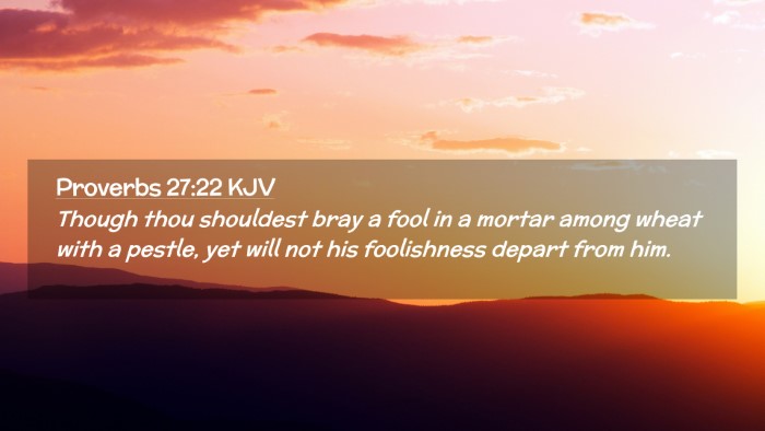 Picture 02 - Proverbs 27:22 KJV Desktop Wallpaper - Though thou shouldest bray a fool in a mortar - Desktop Bible Verse Wallpaper