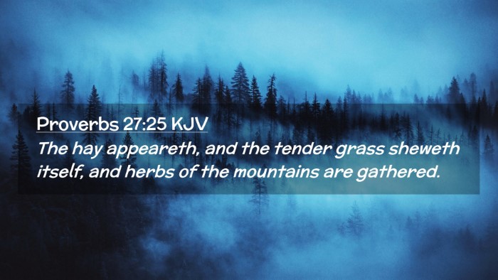 Picture 02 - Proverbs 27:25 KJV Desktop Wallpaper - The hay appeareth, and the tender grass sheweth - Desktop Bible Verse Wallpaper