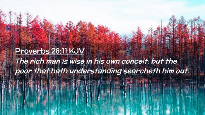 Picture 02 - Proverbs 28:11 KJV Desktop Wallpaper - The rich man is wise in his own conceit; but the - Desktop Bible Verse Wallpaper