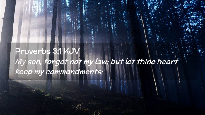 Picture 02 - Proverbs 3:1 KJV Desktop Wallpaper - My son, forget not my law; but let thine heart - Desktop Bible Verse Wallpaper