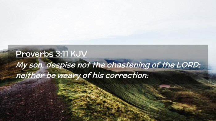 Picture 02 - Proverbs 3:11 KJV Desktop Wallpaper - My son, despise not the chastening of the LORD; - Desktop Bible Verse Wallpaper