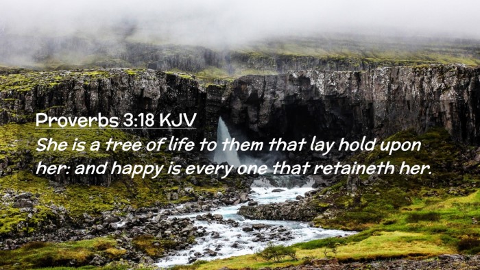 Picture 02 - Proverbs 3:18 KJV Desktop Wallpaper - She is a tree of life to them that lay hold upon - Desktop Bible Verse Wallpaper